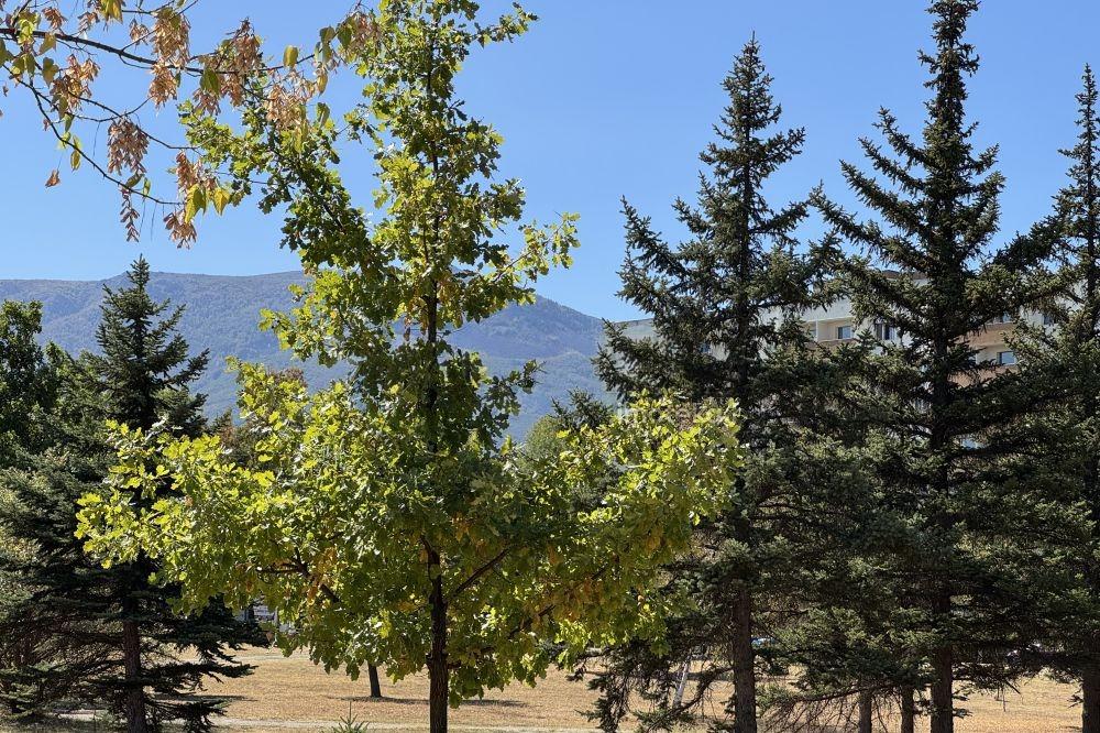 Apartments For Sale 3-Room, Sofia, Studentski Grad