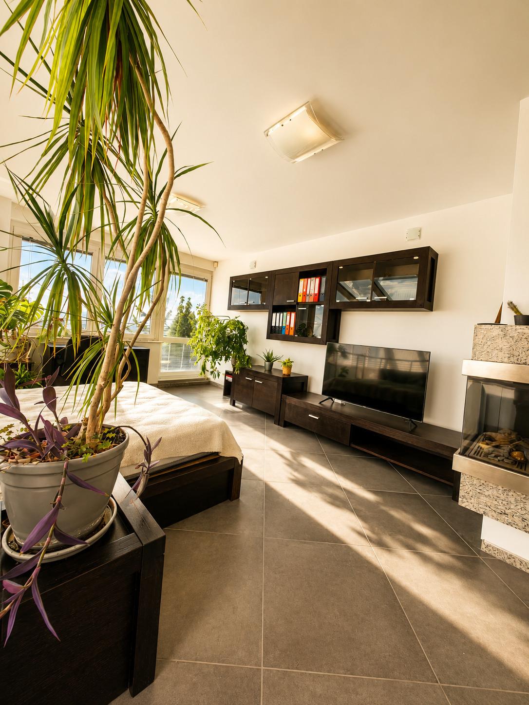 Apartments For Sale Maisonette, Sofia, Boyana