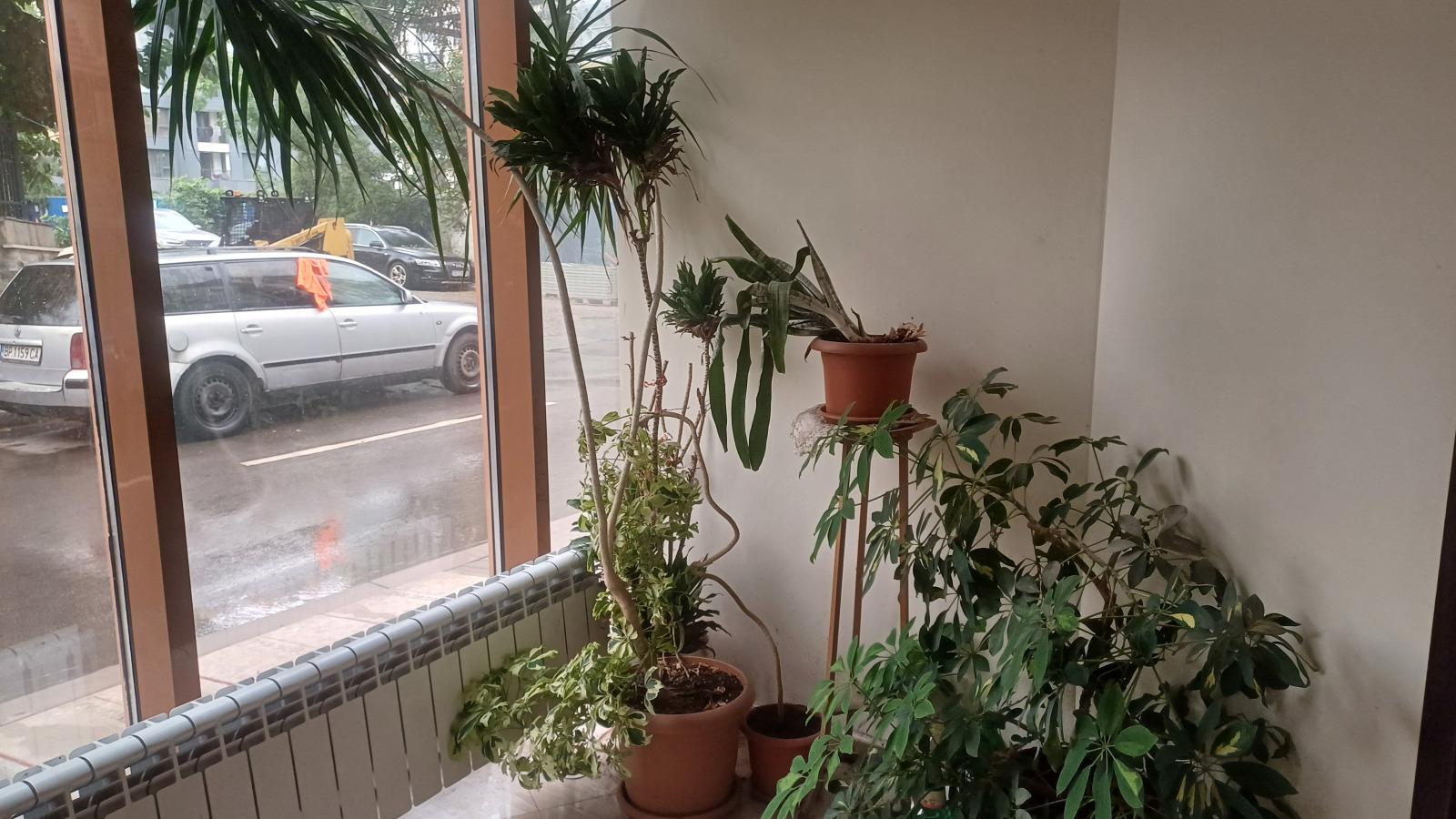 Apartments For Sale Maisonette, Sofia, Poduyane