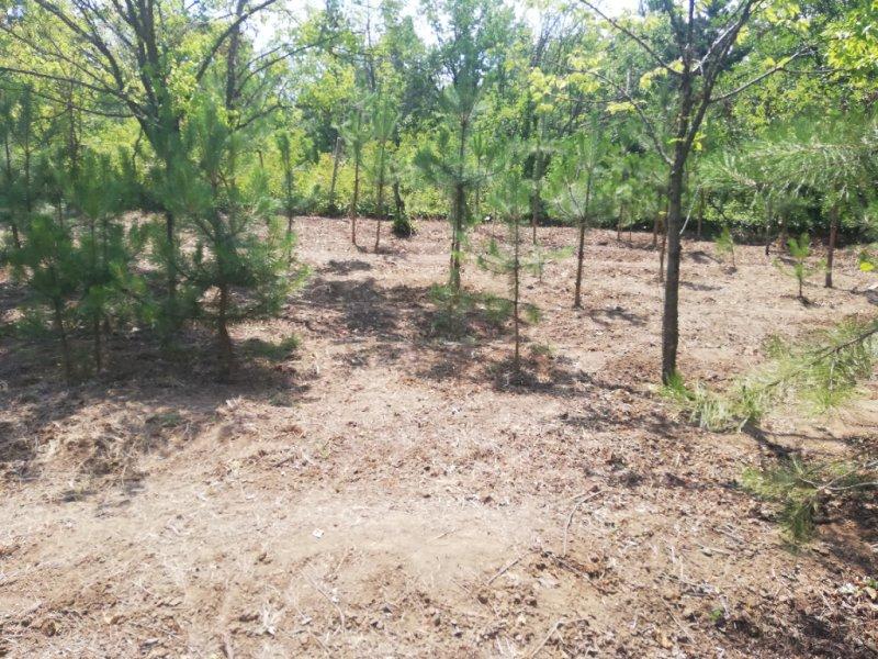 Villa for Sale in Pleven, Martva dolina Area