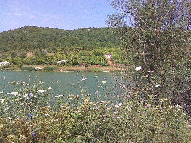 Villa for Sale in Obrochishte, Dobrich