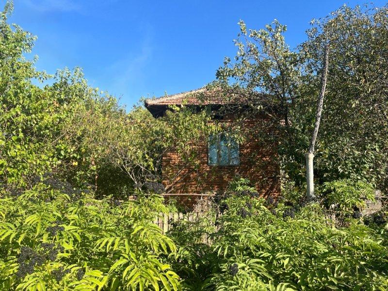 House for Sale in Syanovo, Silistra