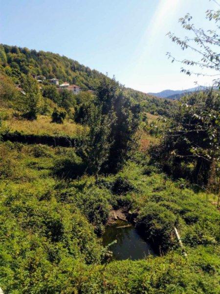 House for Sale in Turyan, Smolyan