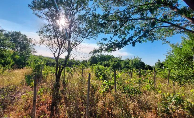 Villa for Sale in Ruse, Dolapite