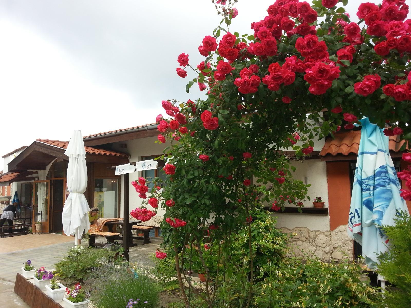 House for Sale in Kranevo, Dobrich