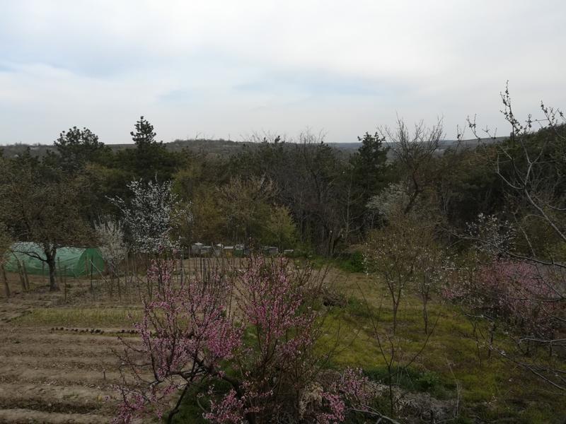 House Floor for Sale in Ruse, Dolapite