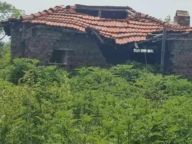House for Sale in Pastren, Stara Zagora