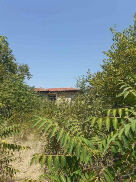 House for Sale in Dimitrovgrad, Haskovo