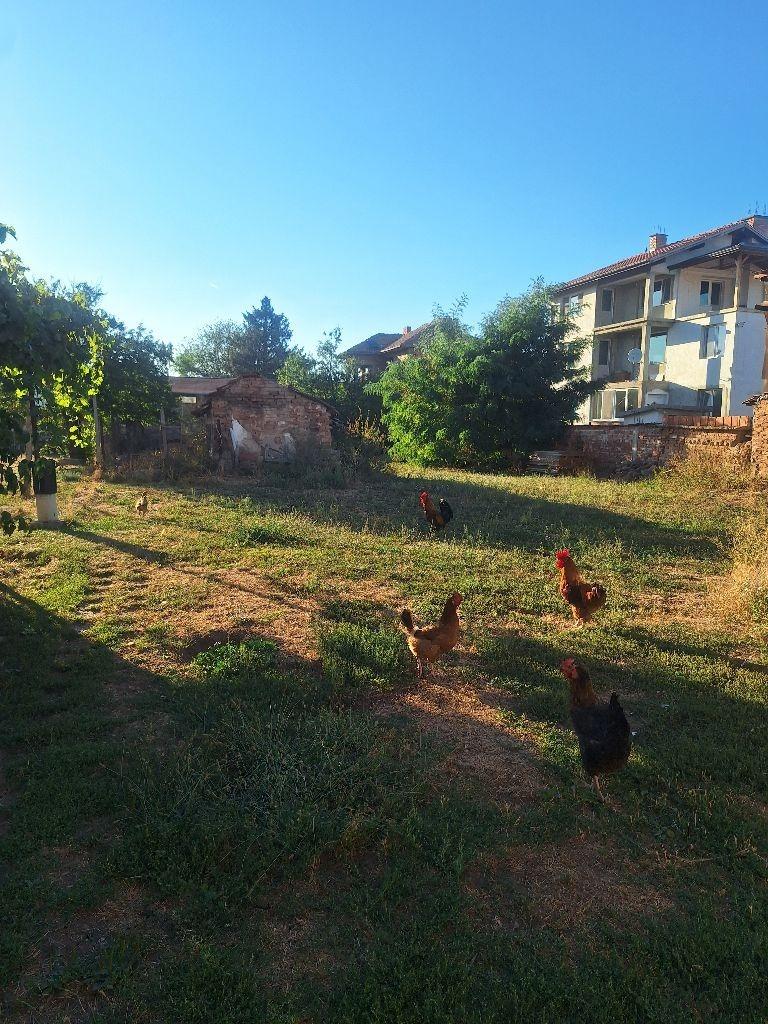 House for Sale in Lesnovo, Sofia Province