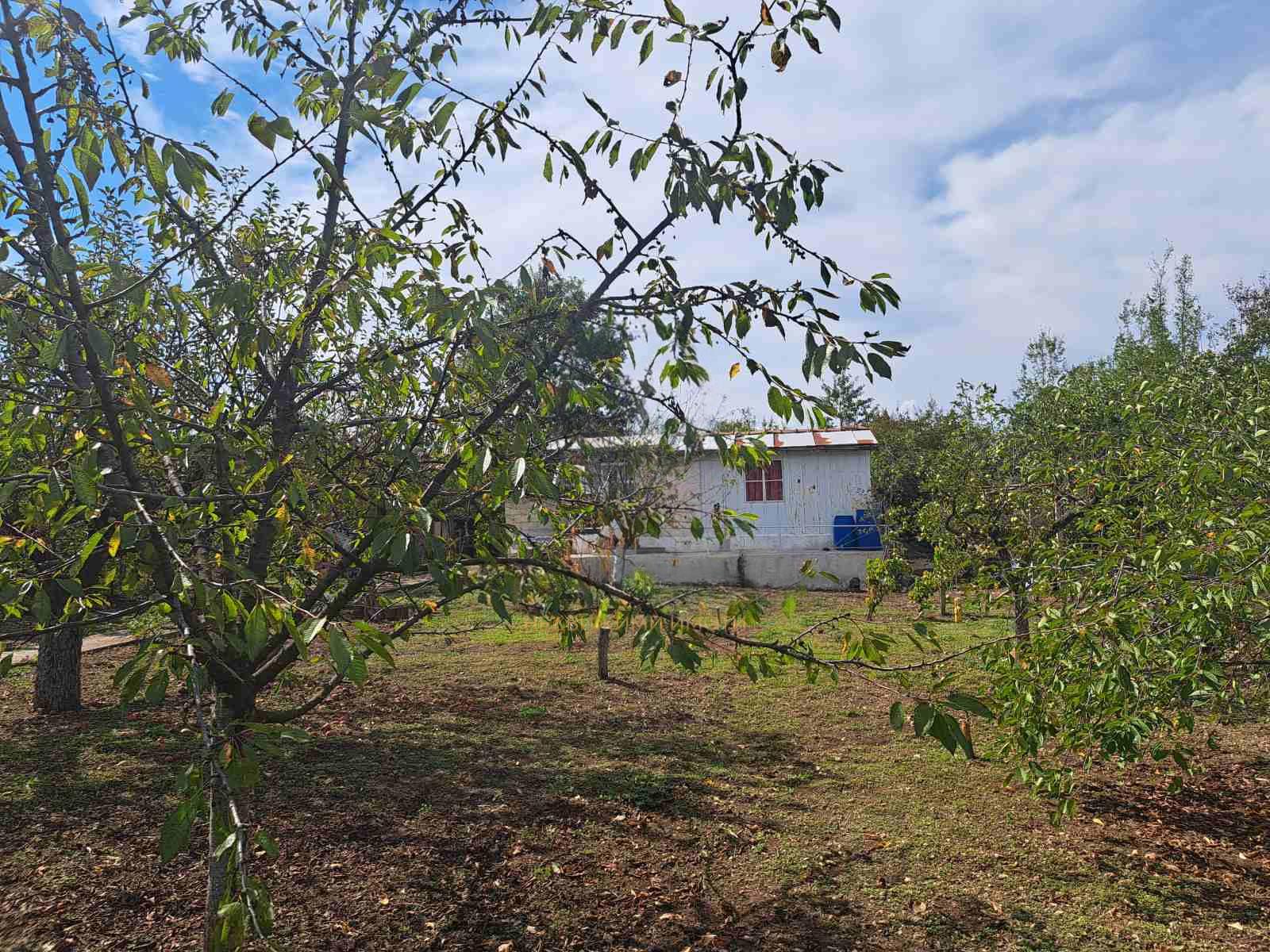 Villa for Sale in Osenovo, Varna