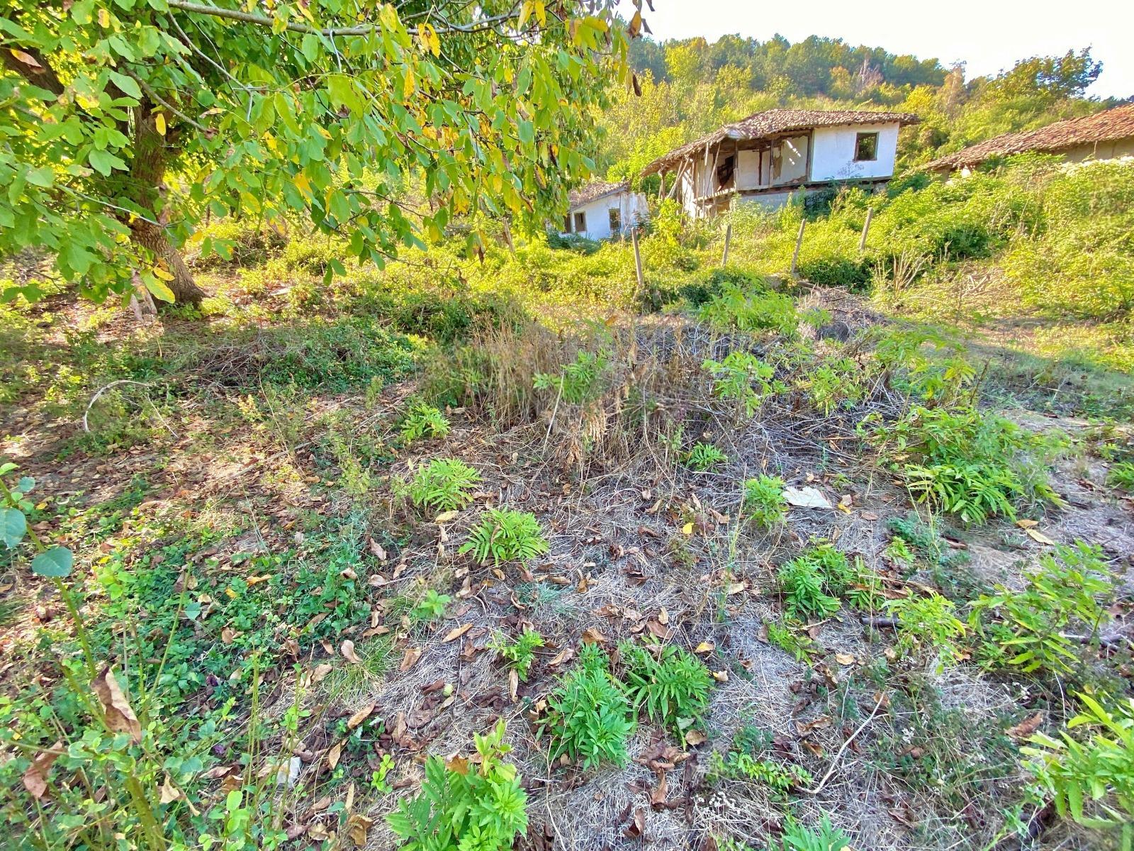 House for Sale in Zlataritsa, Veliko Tarnovo