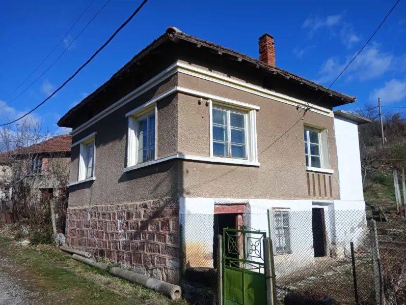 House for Sale in Montana, Mladost 1