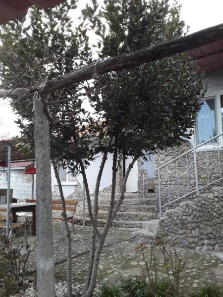 House for Sale in Podvis, Burgas