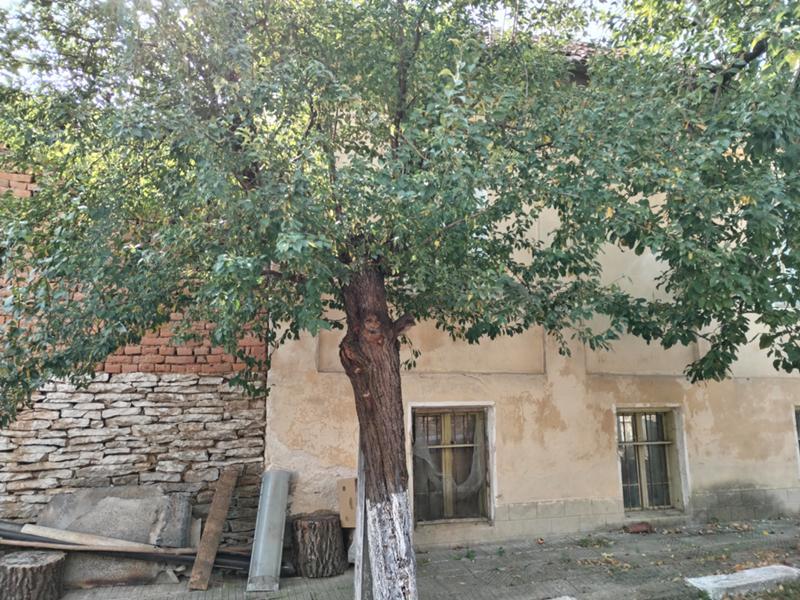 House for Sale in Beglezh, Pleven