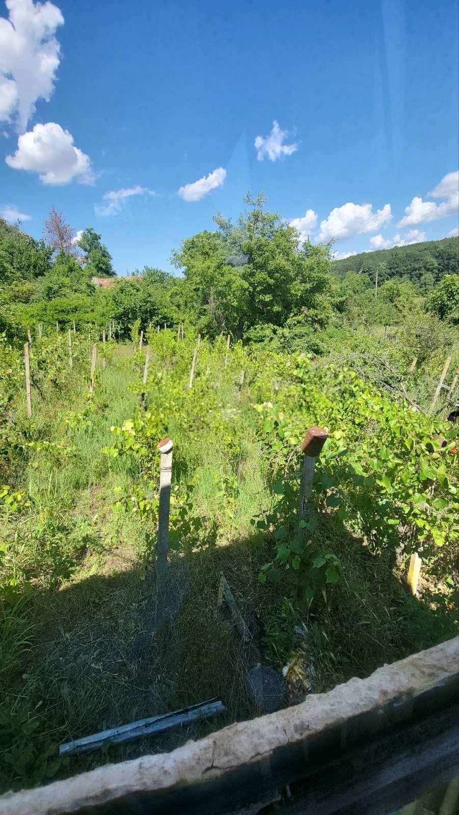 Villa for Sale in Ruse, v.z. Lipaka