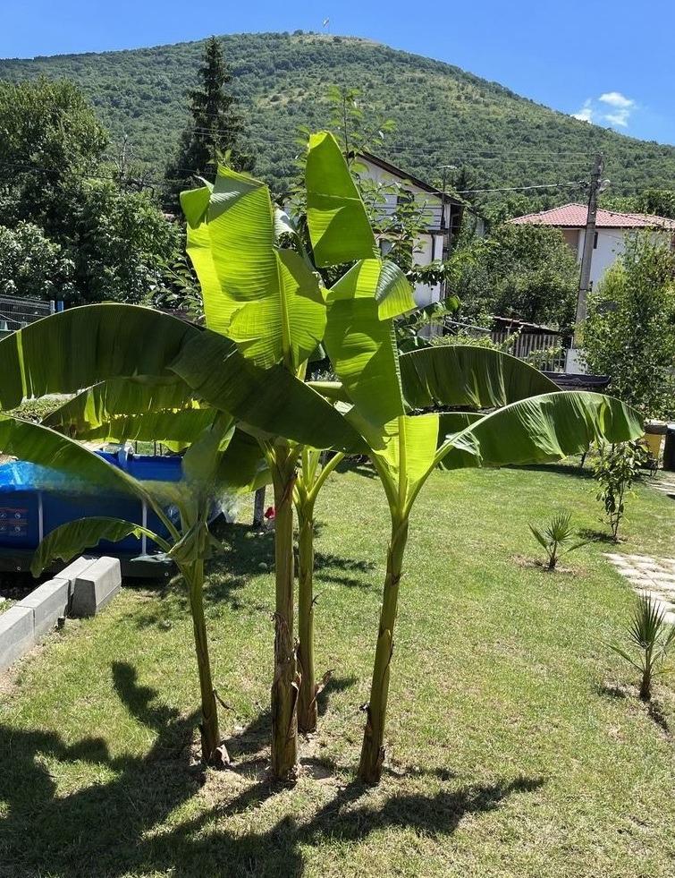 House for Sale in Markovo, Plovdiv