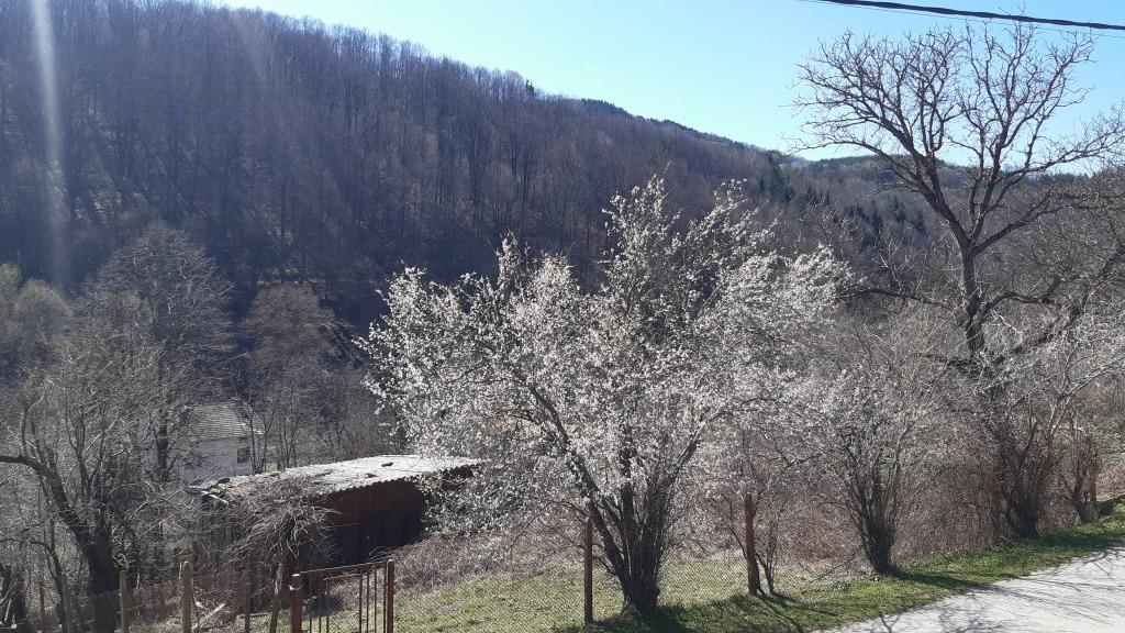 House for Sale in Plachkovtsi, Gabrovo