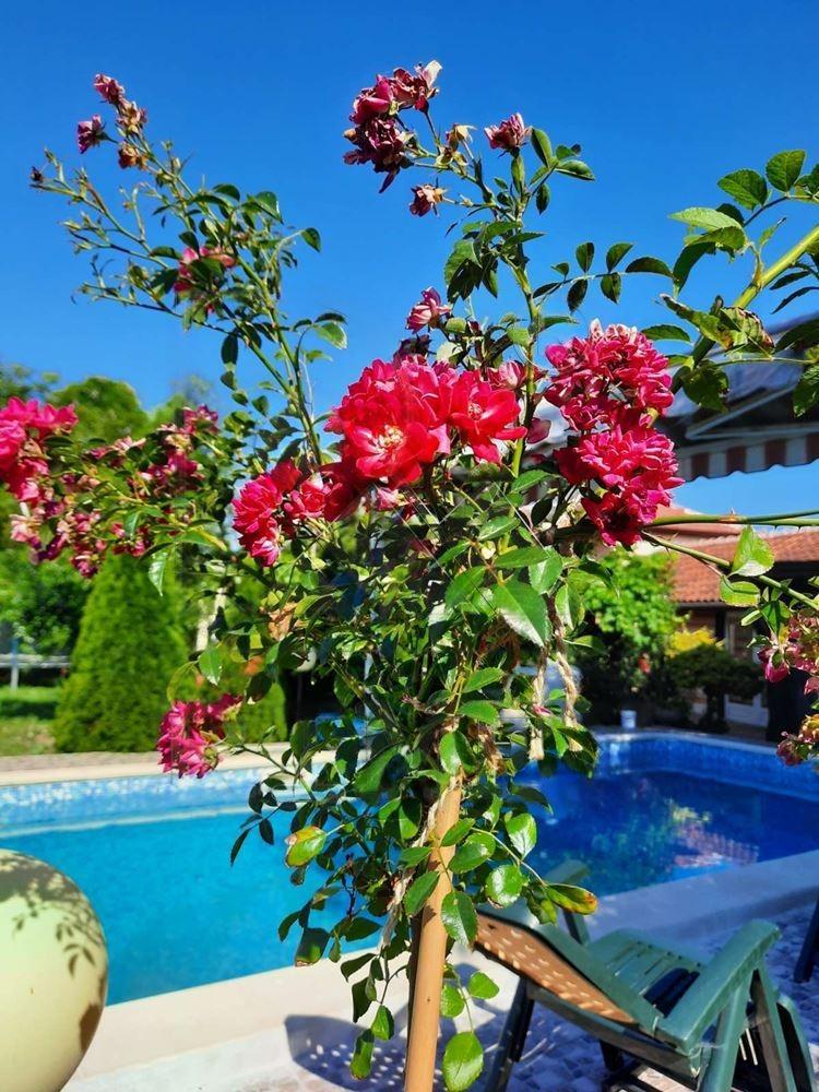 House for Sale in Tseretelevo, Plovdiv