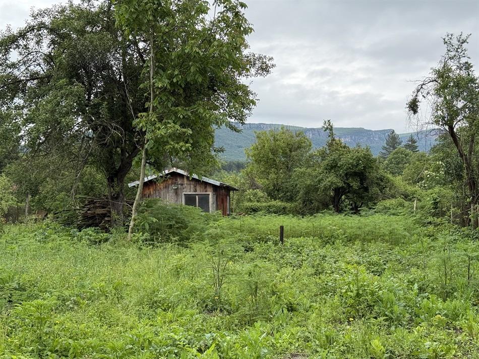House for Sale in Yavorets, Gabrovo