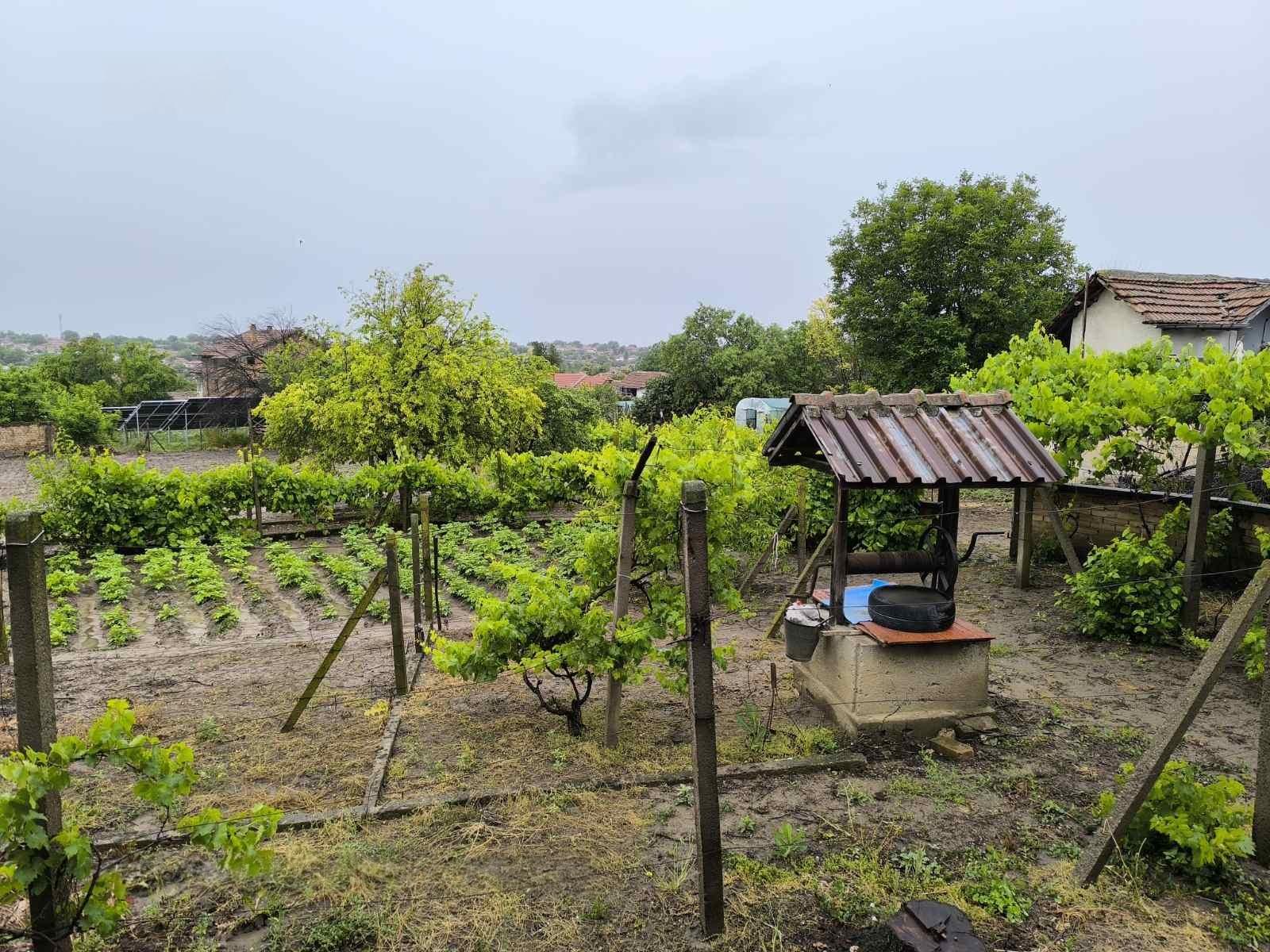 House for Sale in Trastenik, Pleven