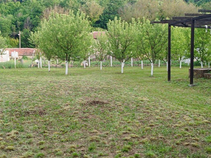 House for Sale in Mogilovo, Stara Zagora
