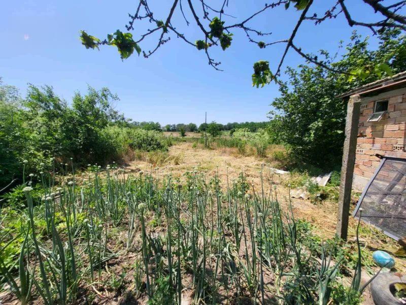 House for Sale in Kapinovo, Dobrich
