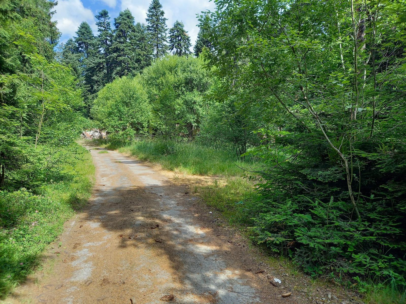 House for Sale in Borovets Resort, Sofia Province