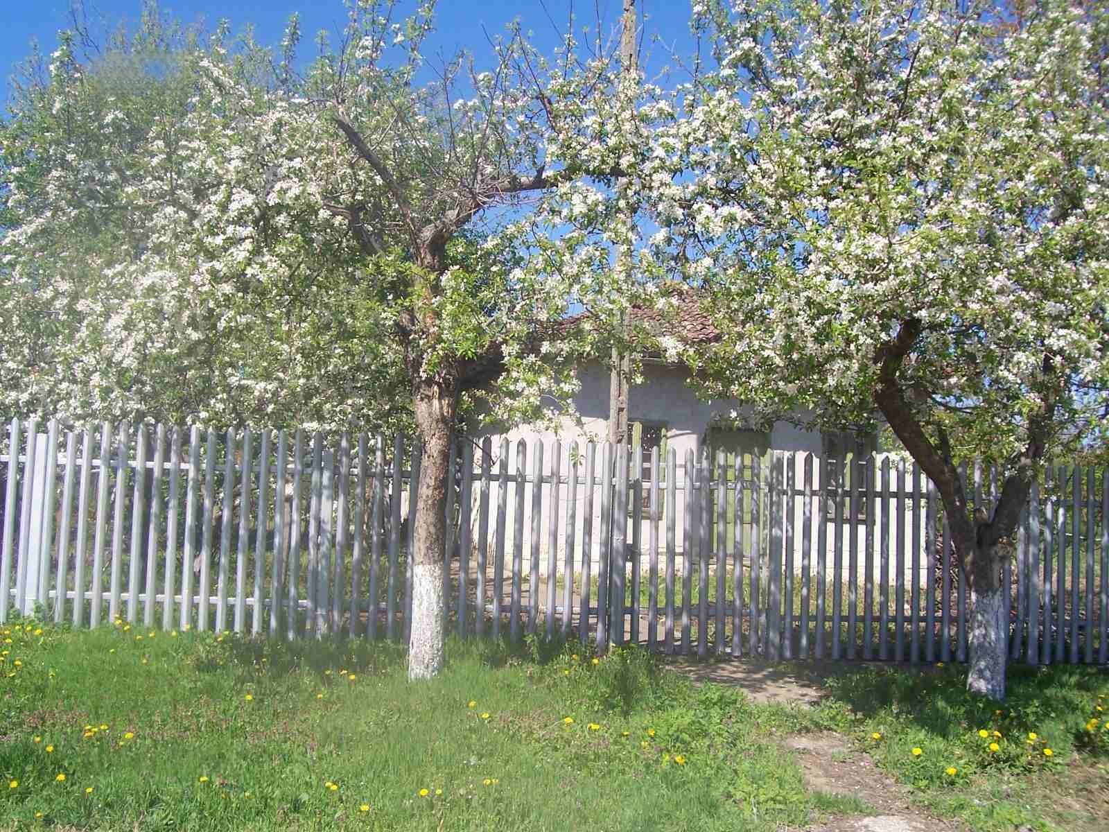 House for Sale in Grancharovo, Silistra