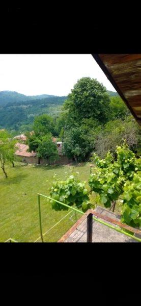 House for Sale in Gabrovtsi, Veliko Tarnovo