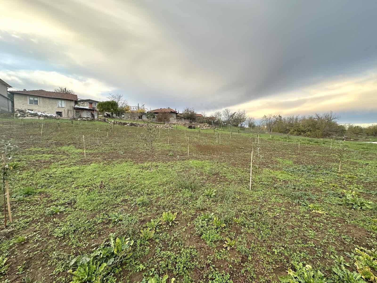 House for Sale in Dragizhevo, Veliko Tarnovo