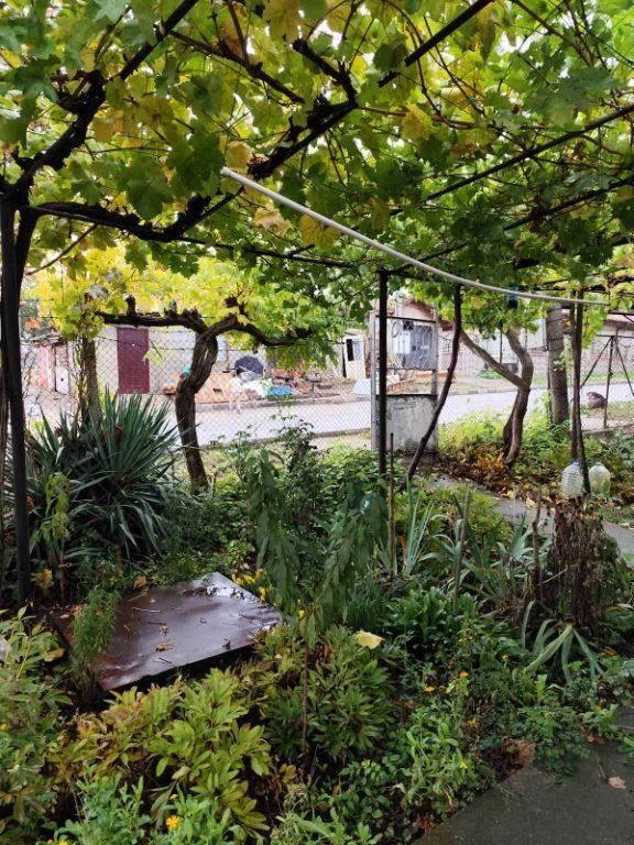 House for Sale in Valchi dol, Varna