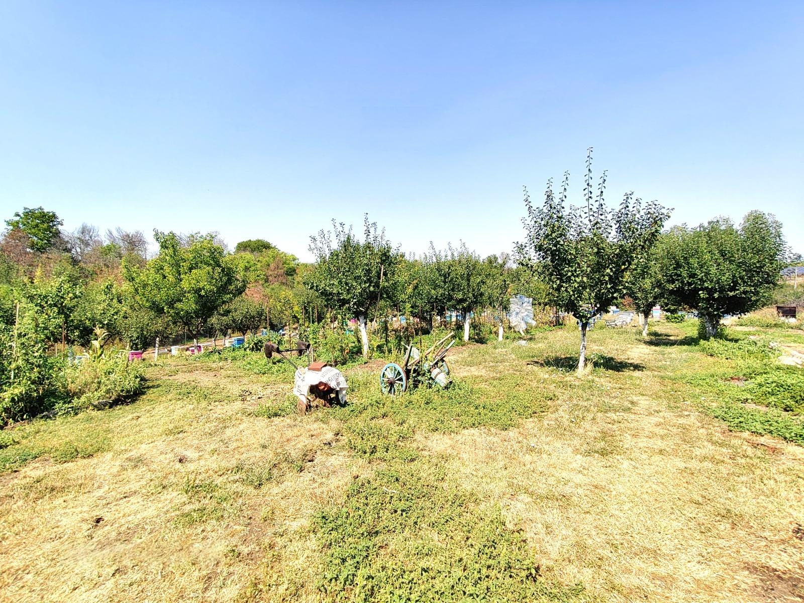 House for Sale in Kamenna reka, Haskovo