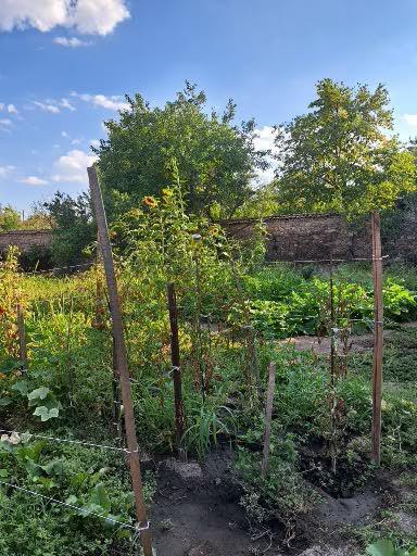 House for Sale in Ovchepoltsi, Pazardzhik