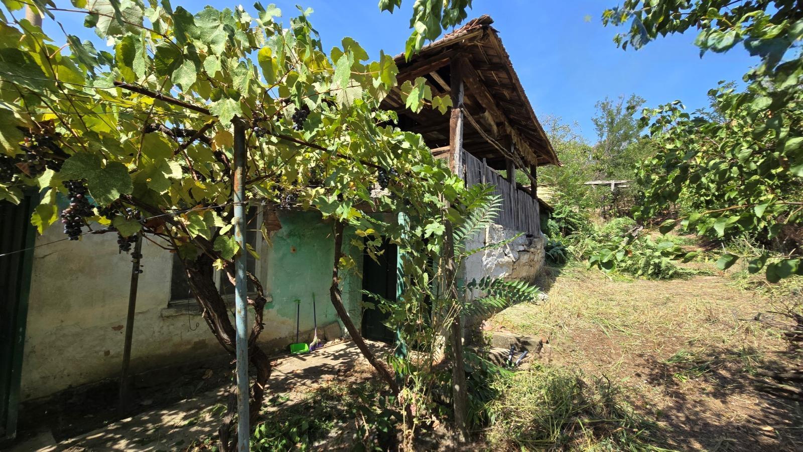House for Sale in Bukovets, Vidin