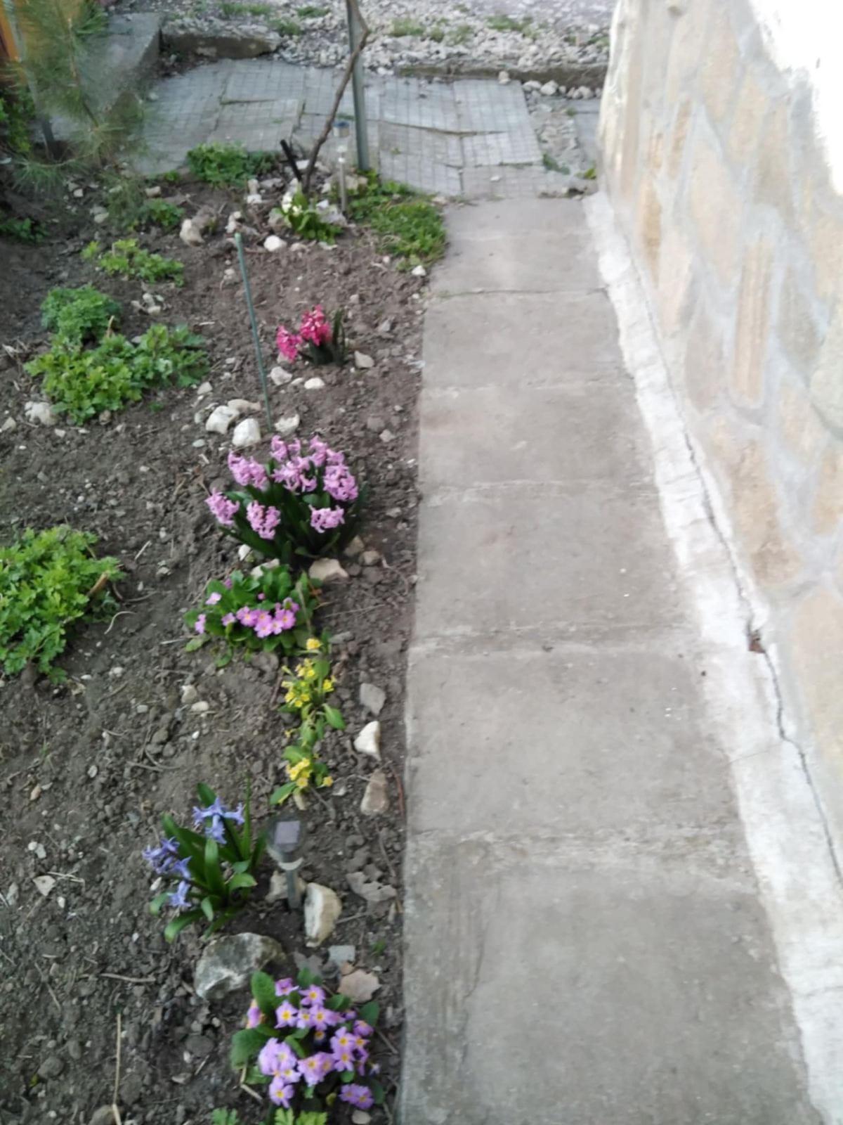Villa for Sale in Shumen, Pod Manastira Area