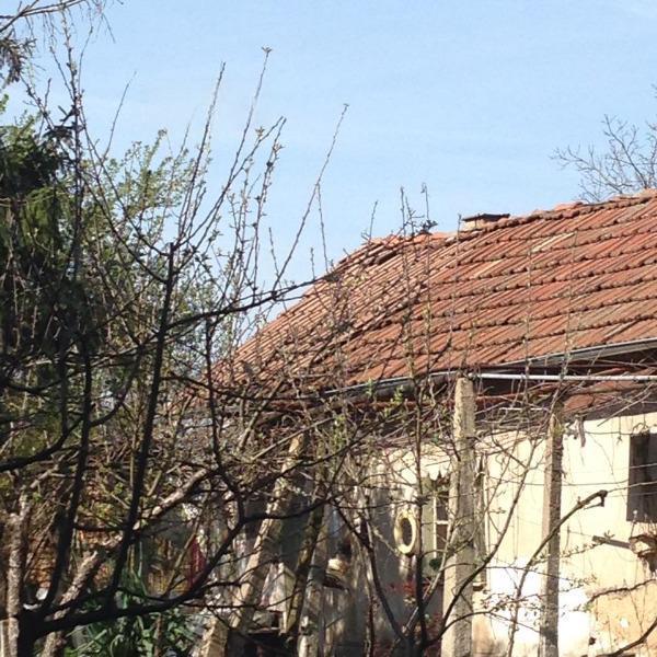 House for Sale in Knezha, Pleven