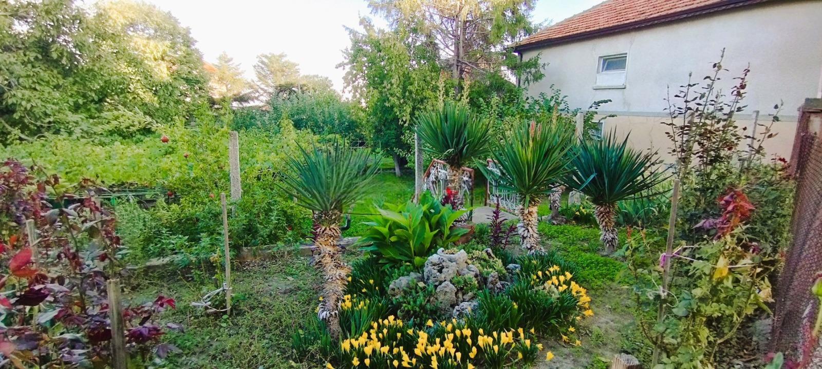 House for Sale in Byala, Varna