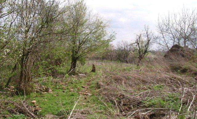 House for Sale in Rogozina, Dobrich