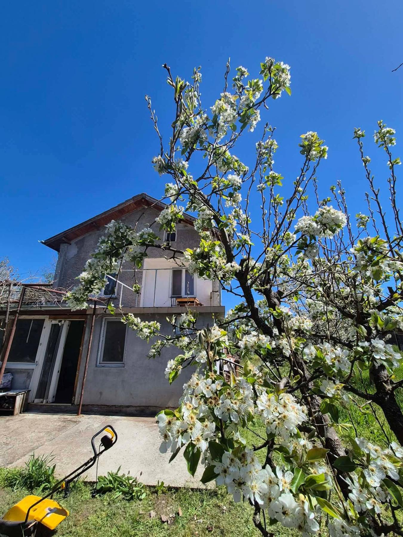 House for Sale in Priboy, Pernik