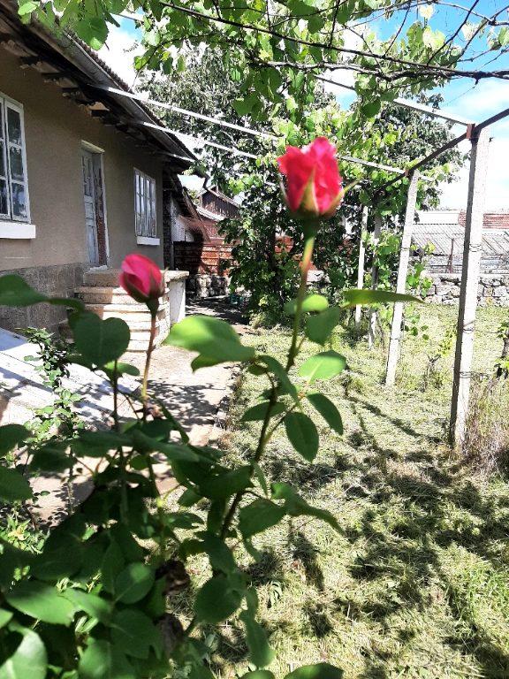 House for Sale in Shtraklevo, Ruse