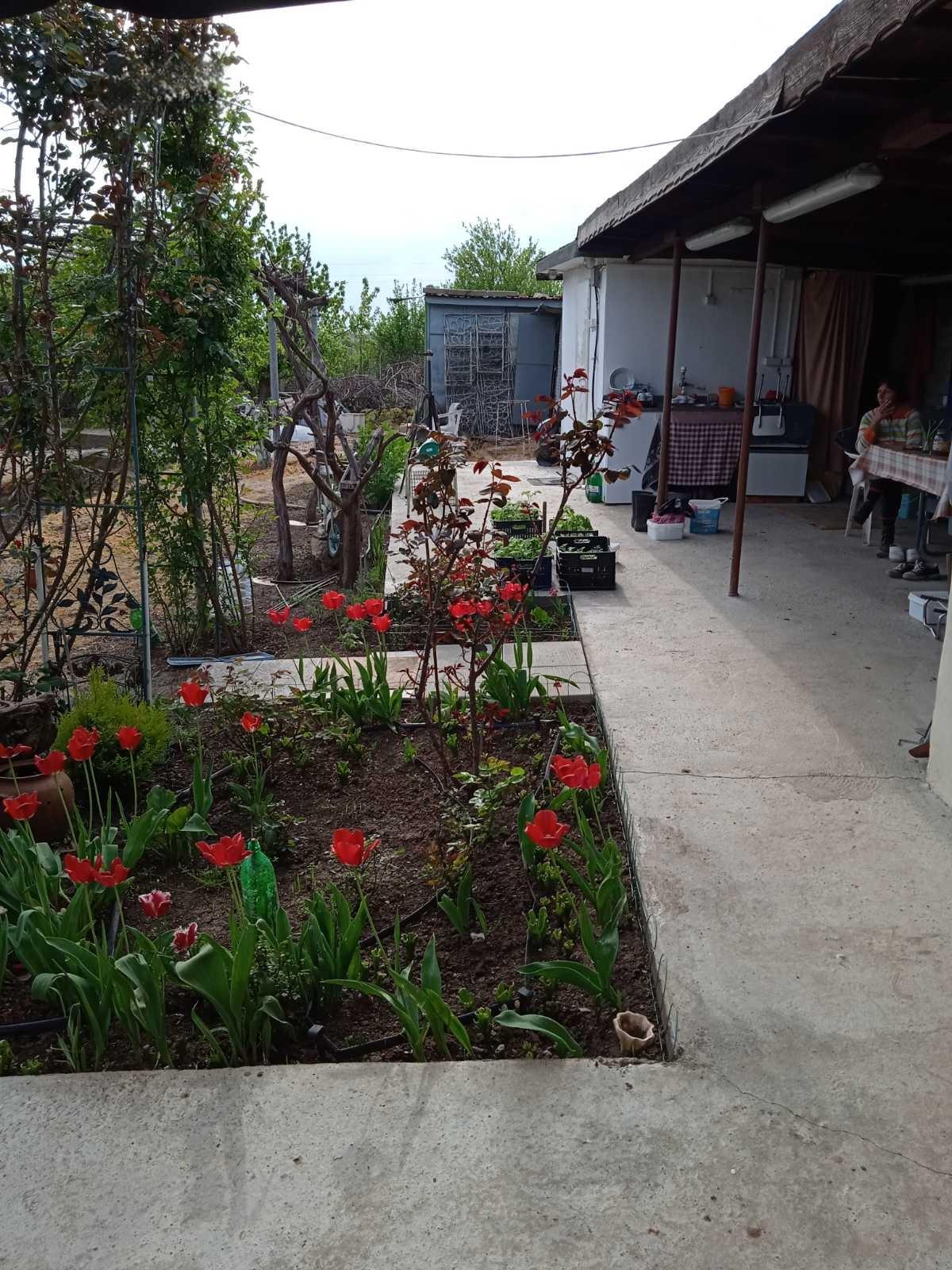 House for Sale in Tyulenovo, Dobrich