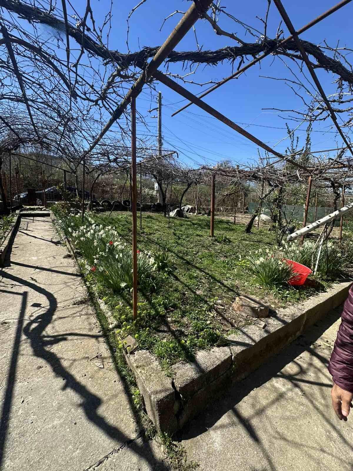 House for Sale in Kardzhali, Veselchane