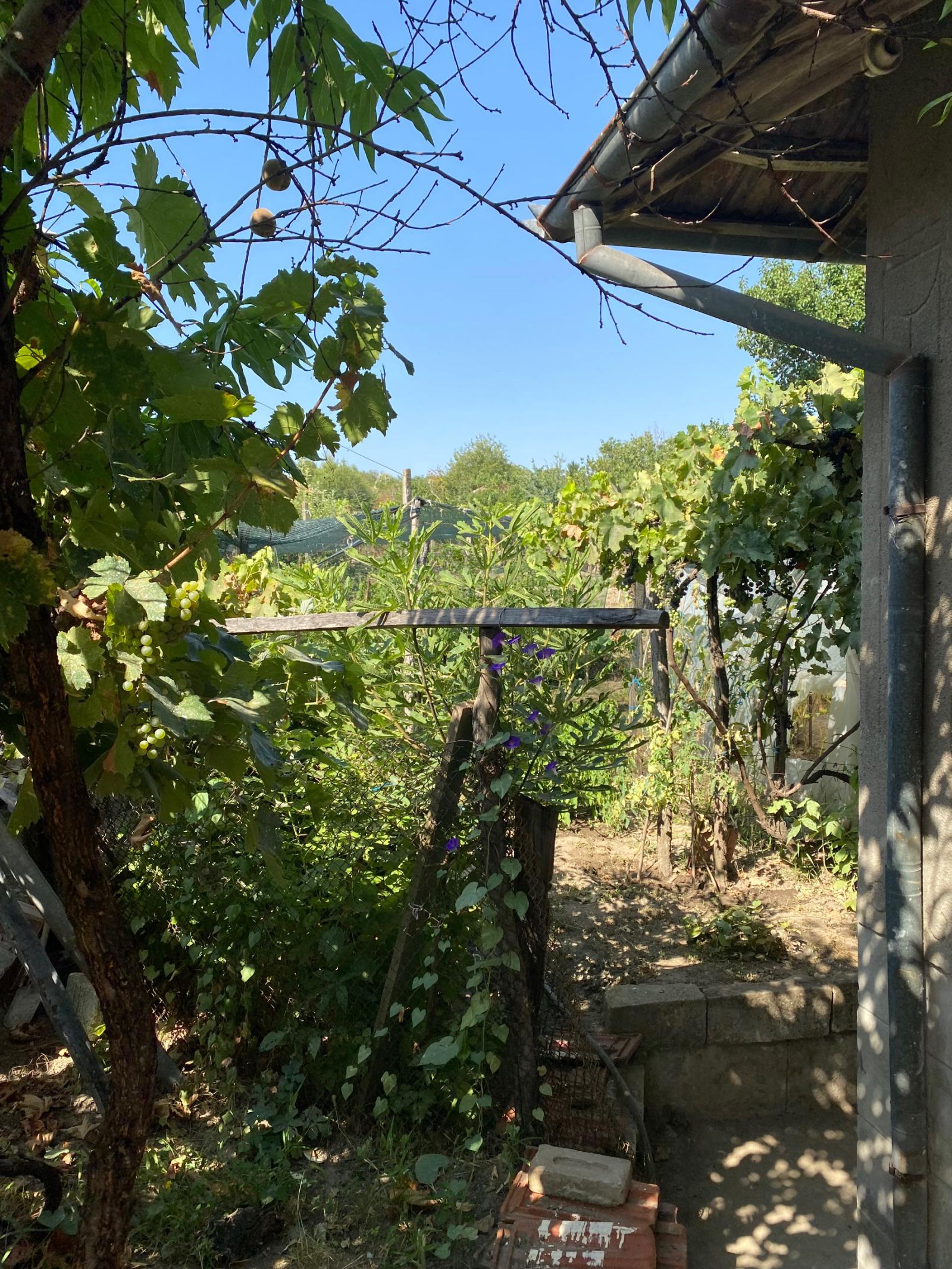 House for Sale in Pirgovo, Ruse