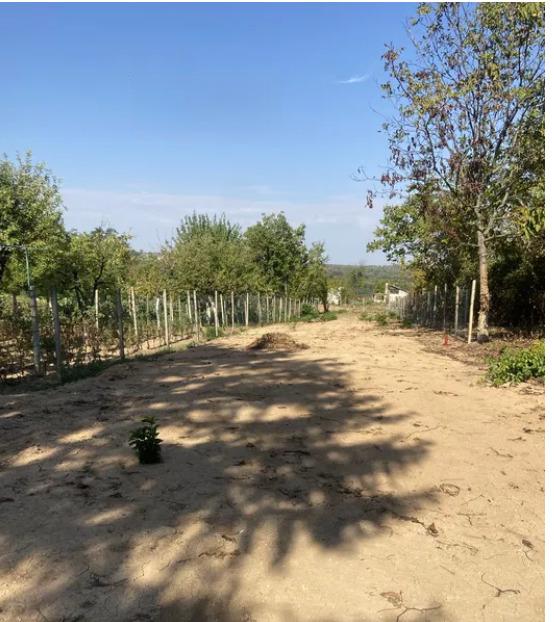 House for Sale in Pleven, Strazhata Area