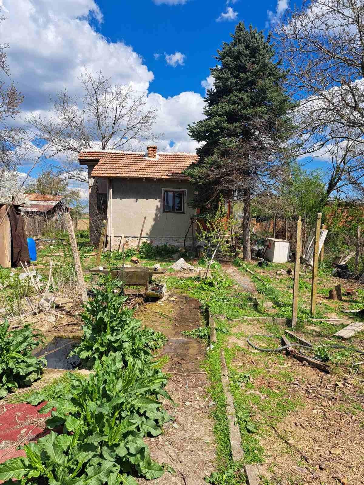 House for Sale in Dunavtsi, Vidin