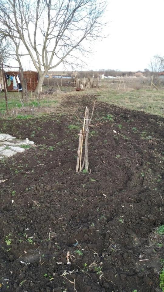 House for Sale in Baykovo, Shumen