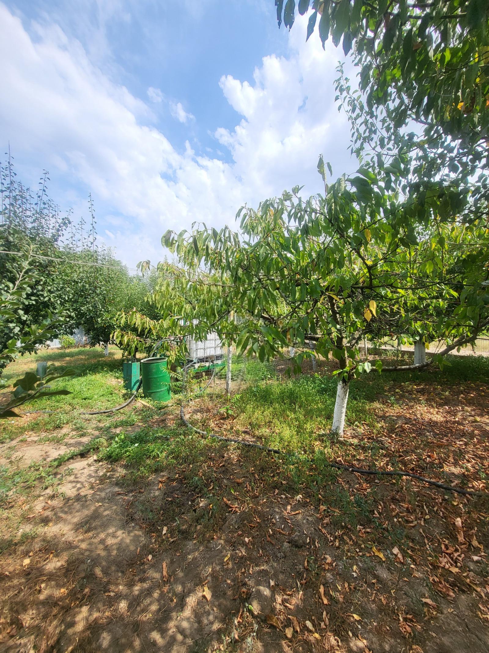 House for Sale in Telish, Pleven