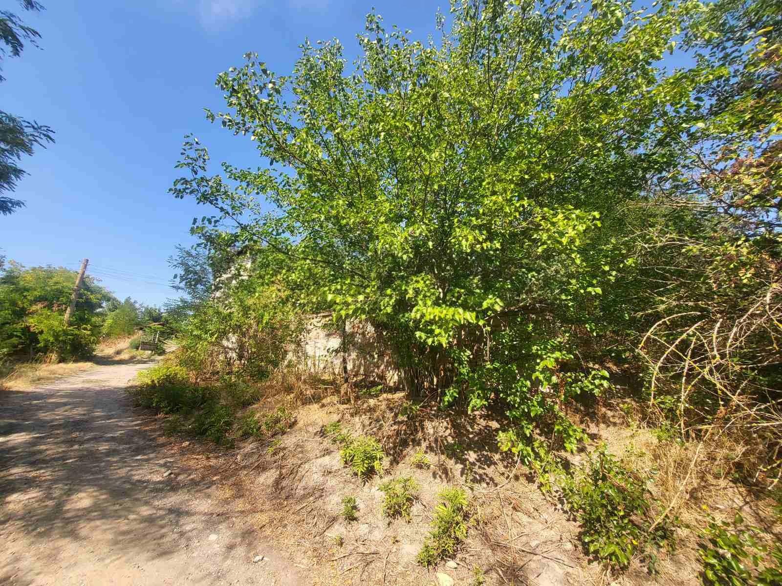 House for Sale in Orehovitsa, Pleven