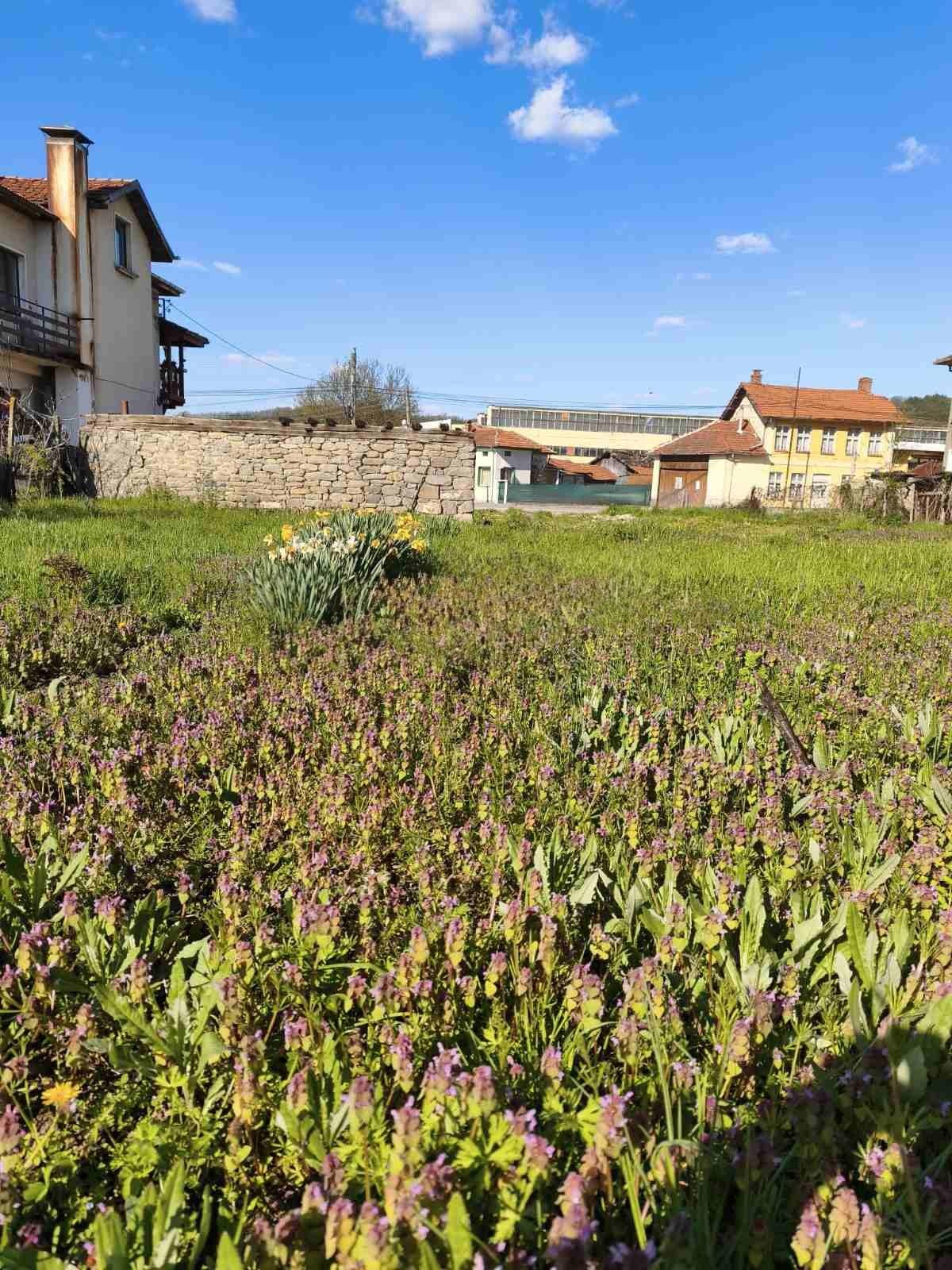 House for Sale in Oreshak, Lovech