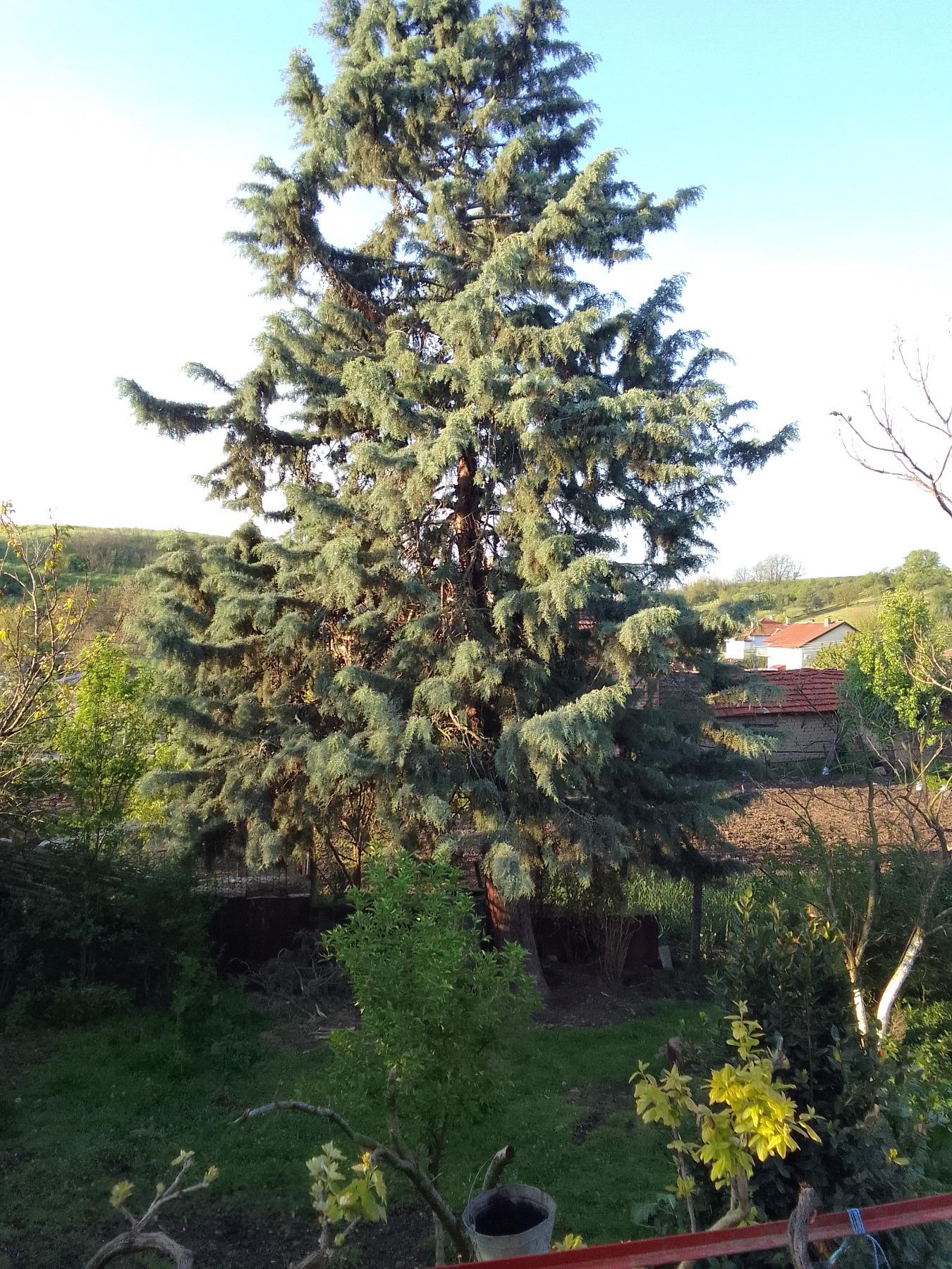 House for Sale in Kukorevo, Yambol